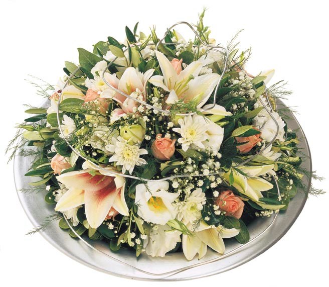 Star Bright Test SWAN v4