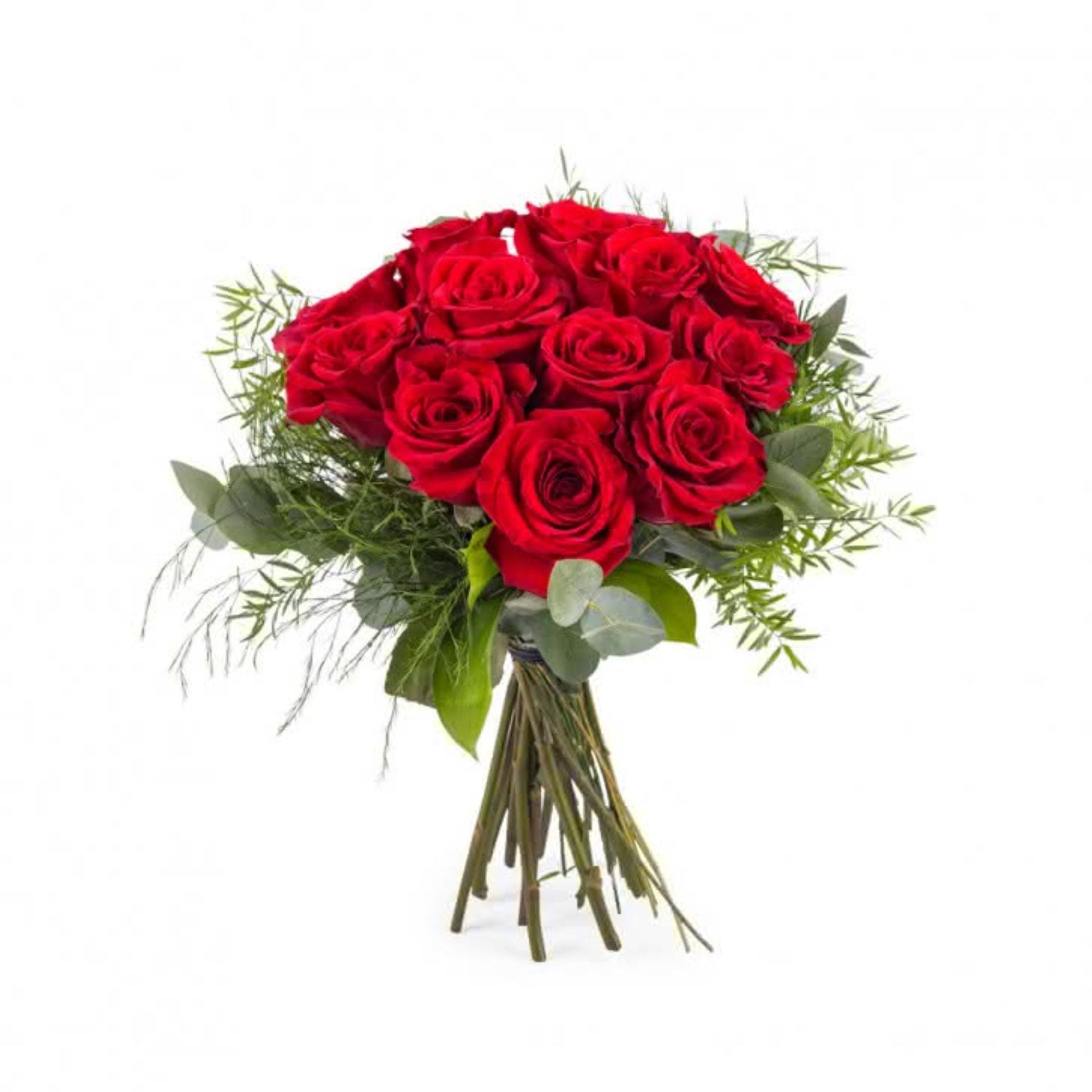 Tantalizing Red Roses