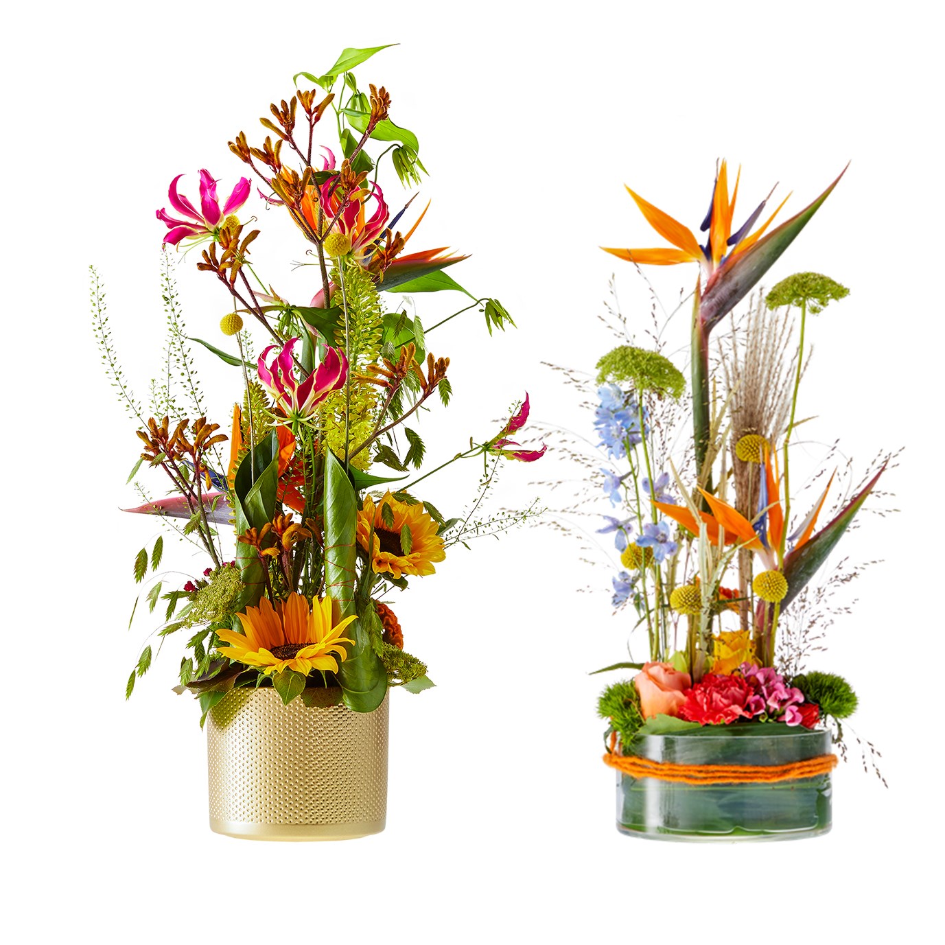 Arrangement of cut flowers